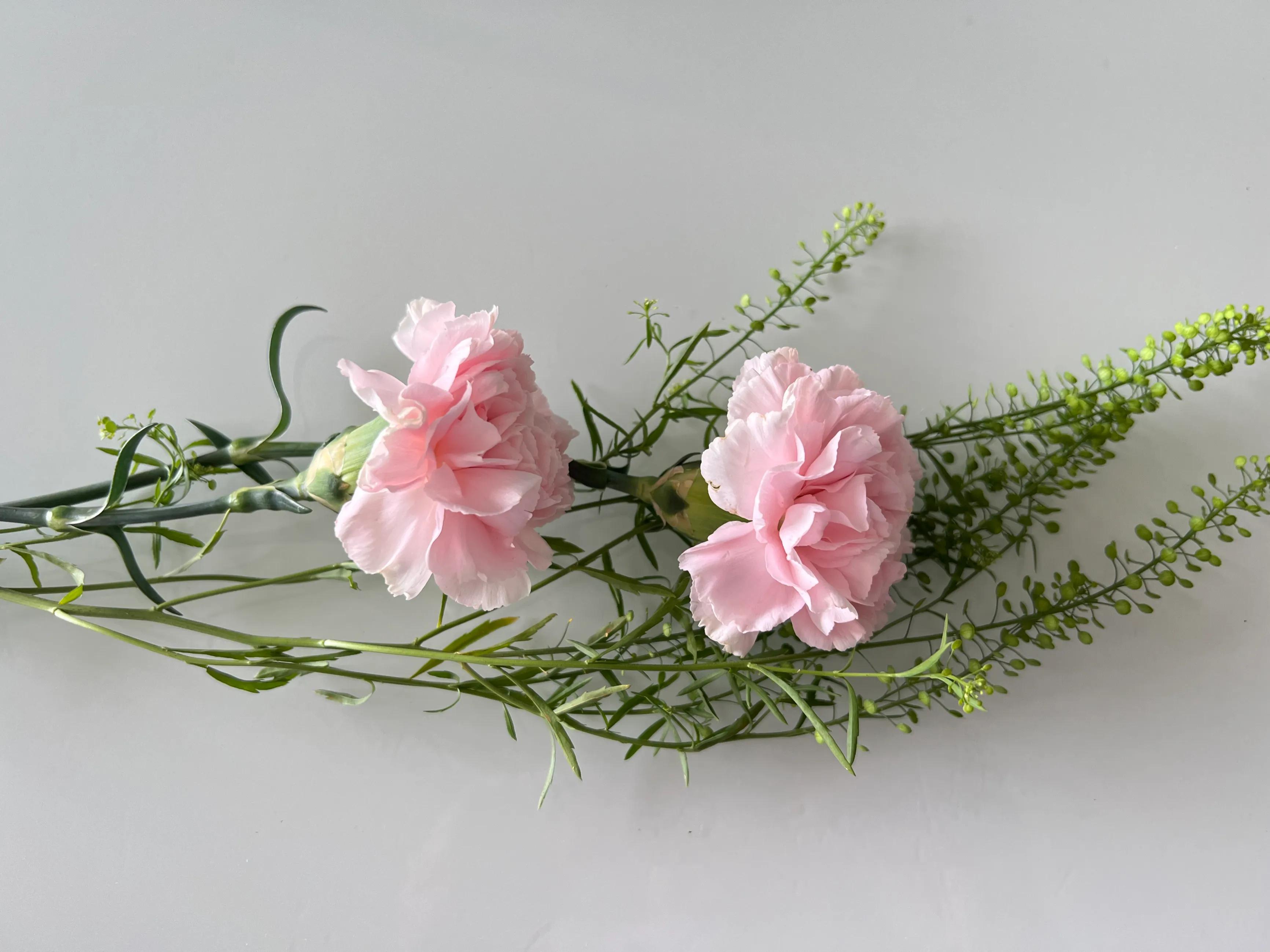 520发朋友圈的经典句子,520最适合发朋友圈的短文