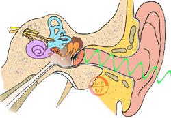 不缺客源！水上乐园太猖狂！被曝妇科疾病高发地，你还敢去玩吗？