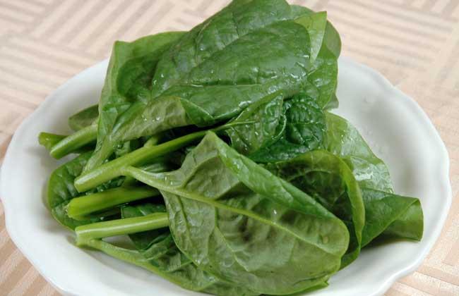 小满将至，新手在家，这6种菜放心种，易种活还不用打农药！