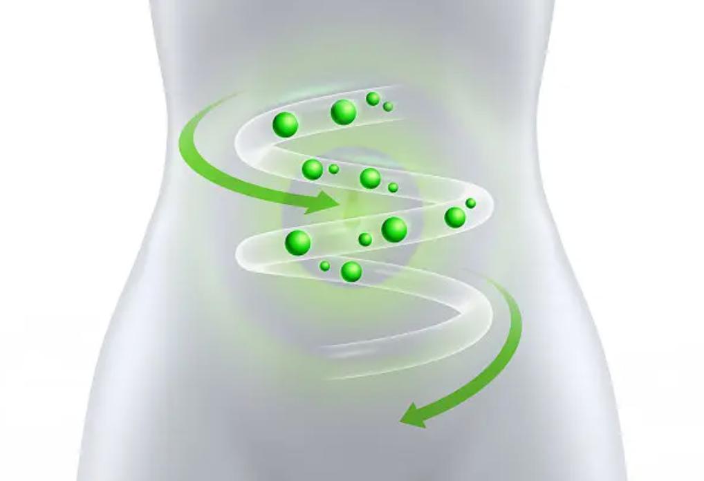 健身人士对健康知识更了解,健身食物小常识