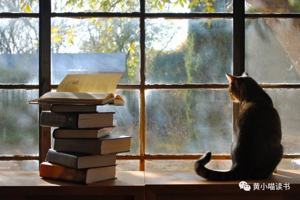 一万小时定律学习方法,20小时学习定律