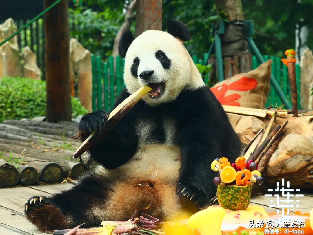 七天假期上哪玩儿,假期去哪儿玩这份攻略告诉你