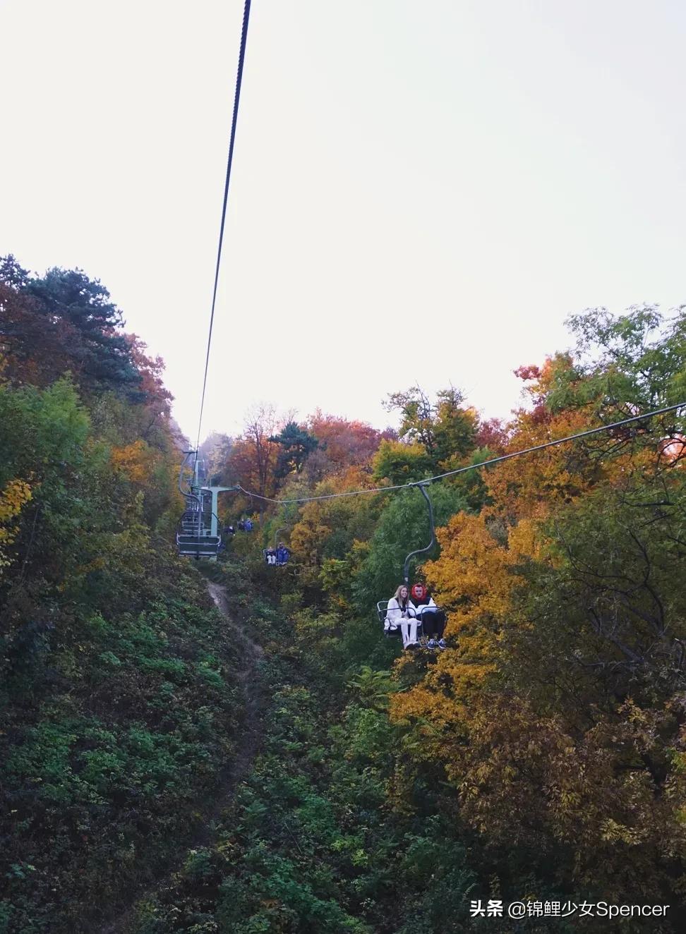 我在布达佩斯，收集了很多秋天送给你