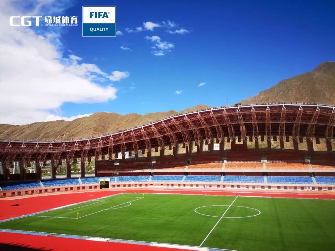 fifa认证足球场是真草吗,fifa认证足球