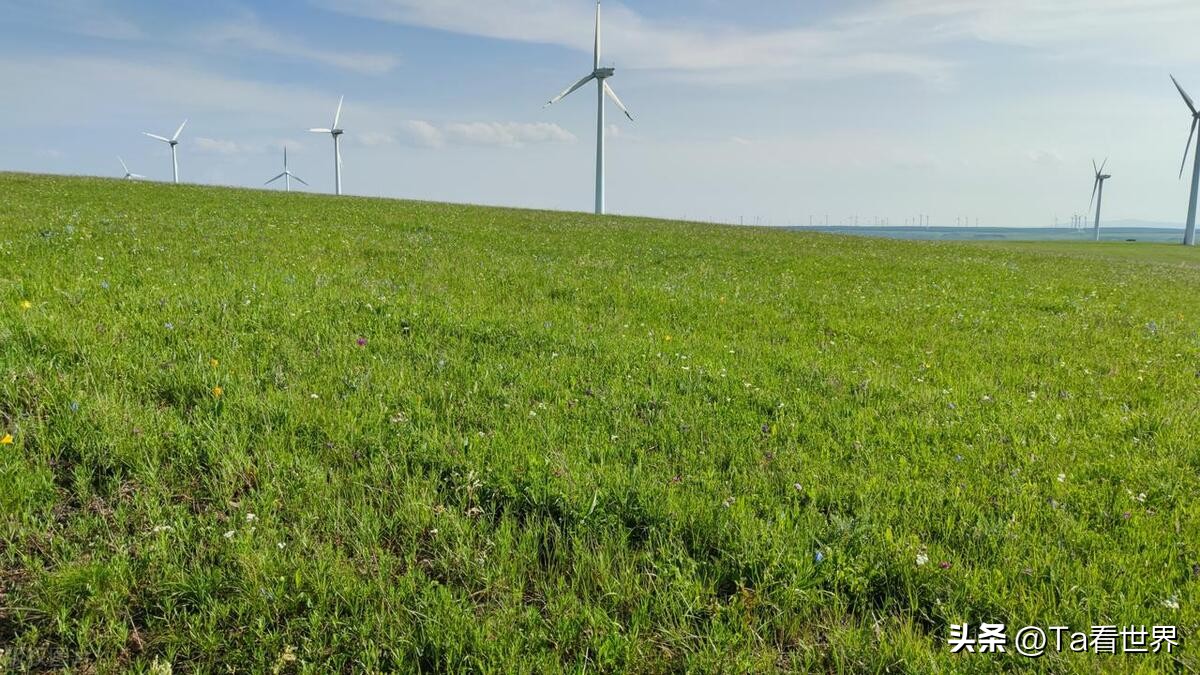 木兰围场周边玩的地方推荐,夏天木兰围场坝上攻略