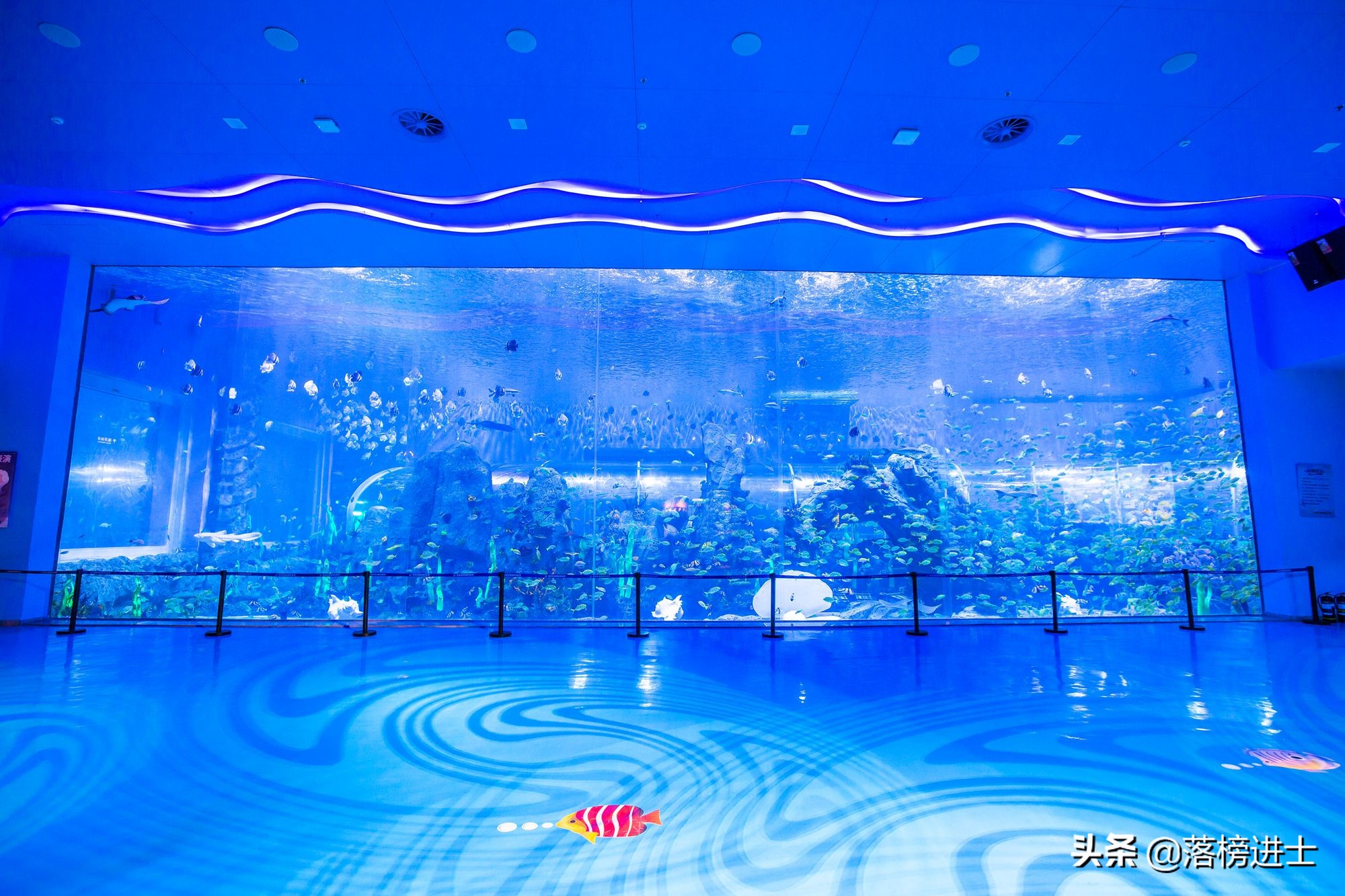 石家庄极地海洋世界从哪个门进,石家庄极地海洋世界内部视频