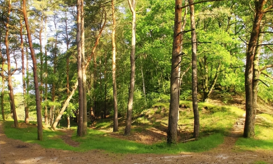西安女子报团观光九寨沟，回到家之后发现，包里有个“百眼筛”