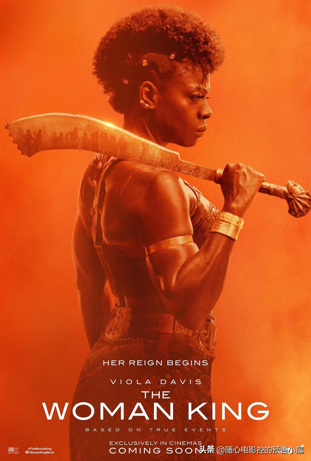 11月12日上线新片汇总,11月30日上线新片汇总