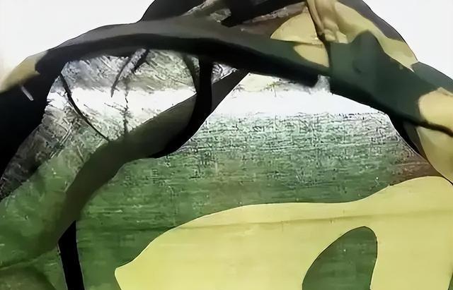 “内衣露出来了，”女大学生抱怨军装单薄透明，学校回应不悦