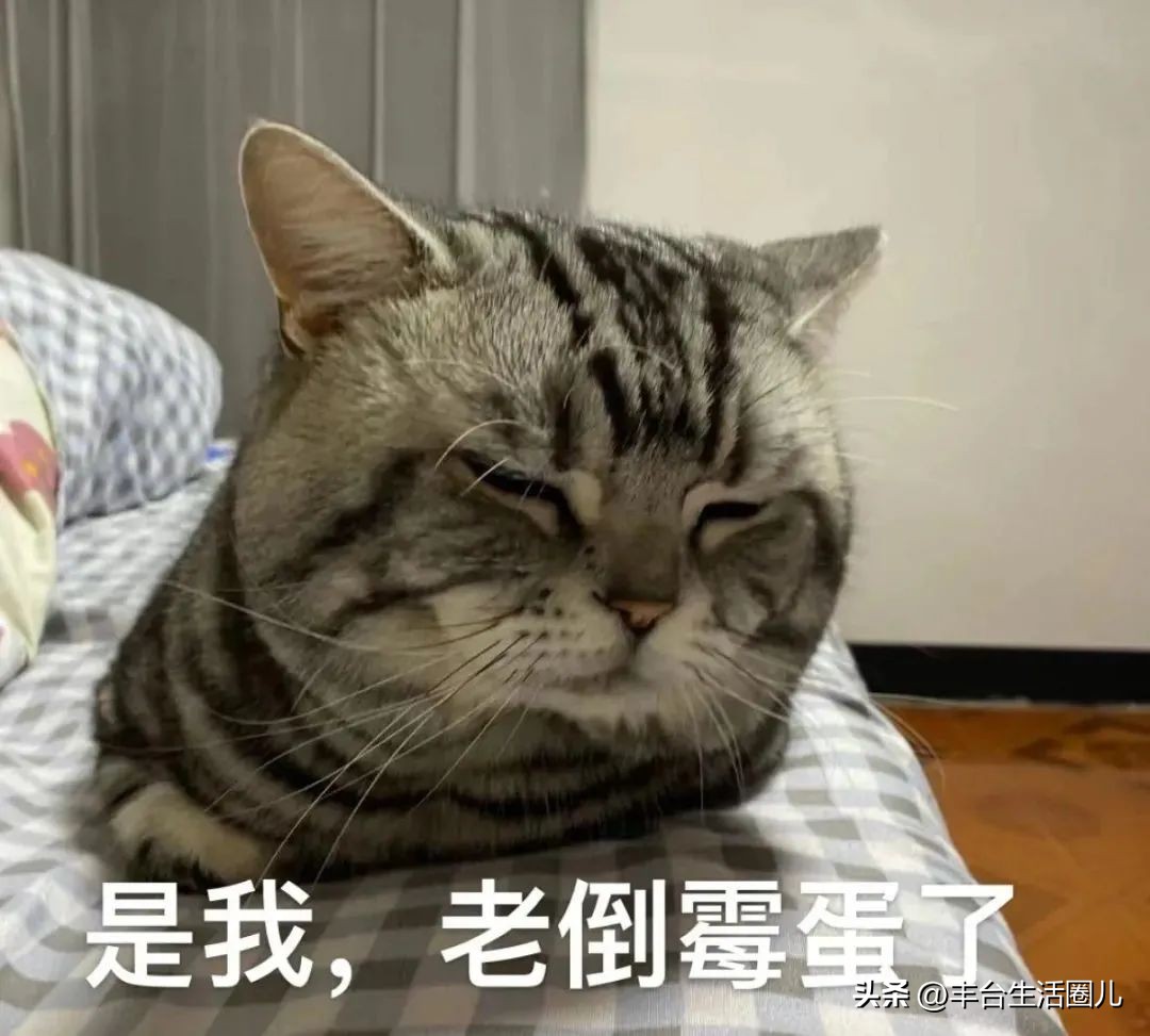 丰台附近今日房价排行榜,北京丰台康泽园小区房价