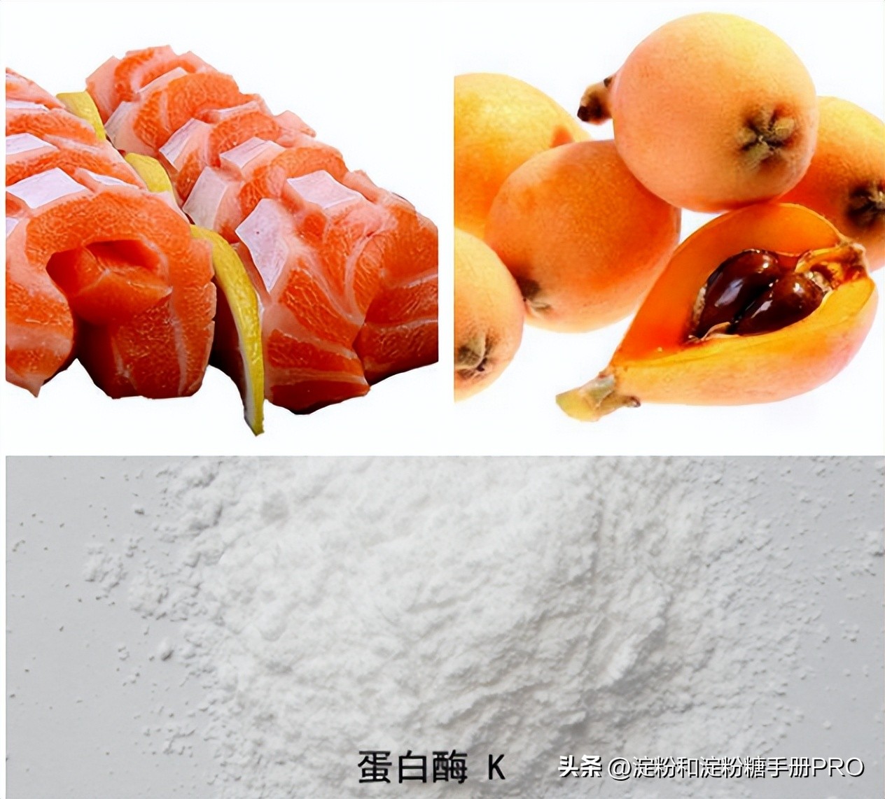 酶在食品工业中的应用视频,酶工程在食品工业中的应用