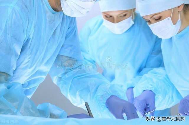 如何选择靠谱的大学专业,大学常见专业解读