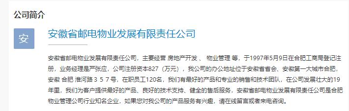 “精英面具”下的安徽置地