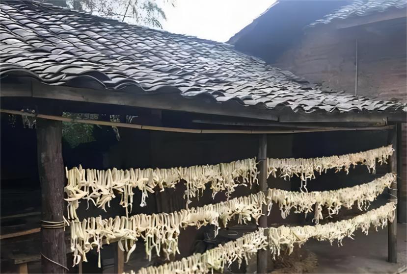 “我不回去！”四川小伙巴西打工，16年后宁愿乞讨也不回国，为何