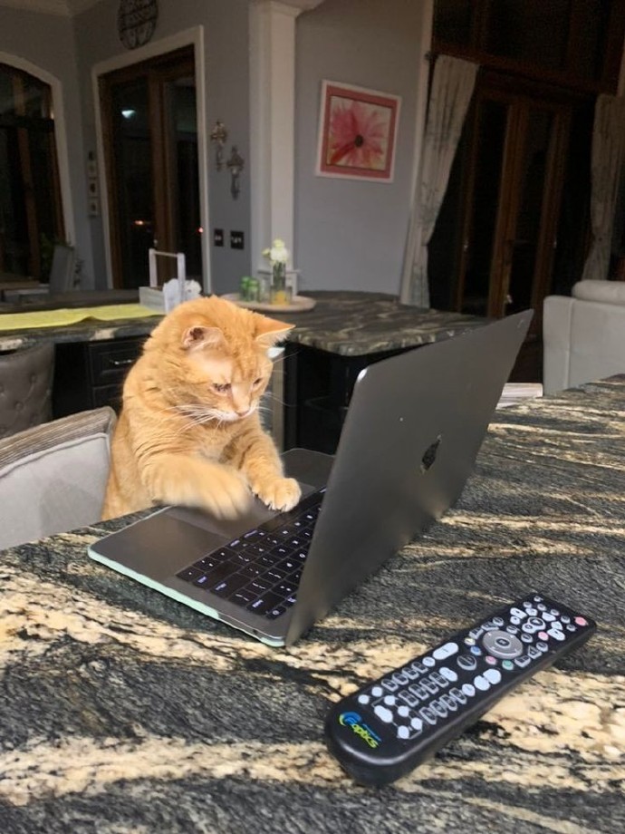 「被窝段子20221101」生命中的全部偶然其实都是命中注定