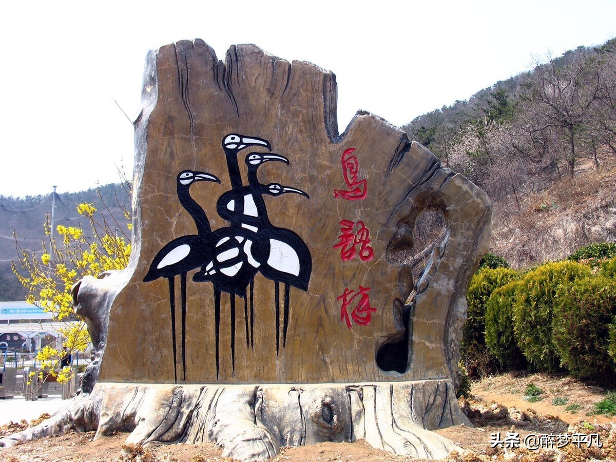 大连老虎滩海洋公园极地馆视频,大连老虎滩海洋公园和发现王国