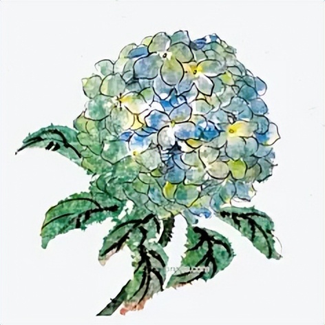 学国画软件,如何学国画