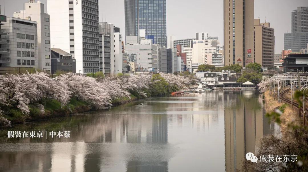 365张照片回顾,365张相片