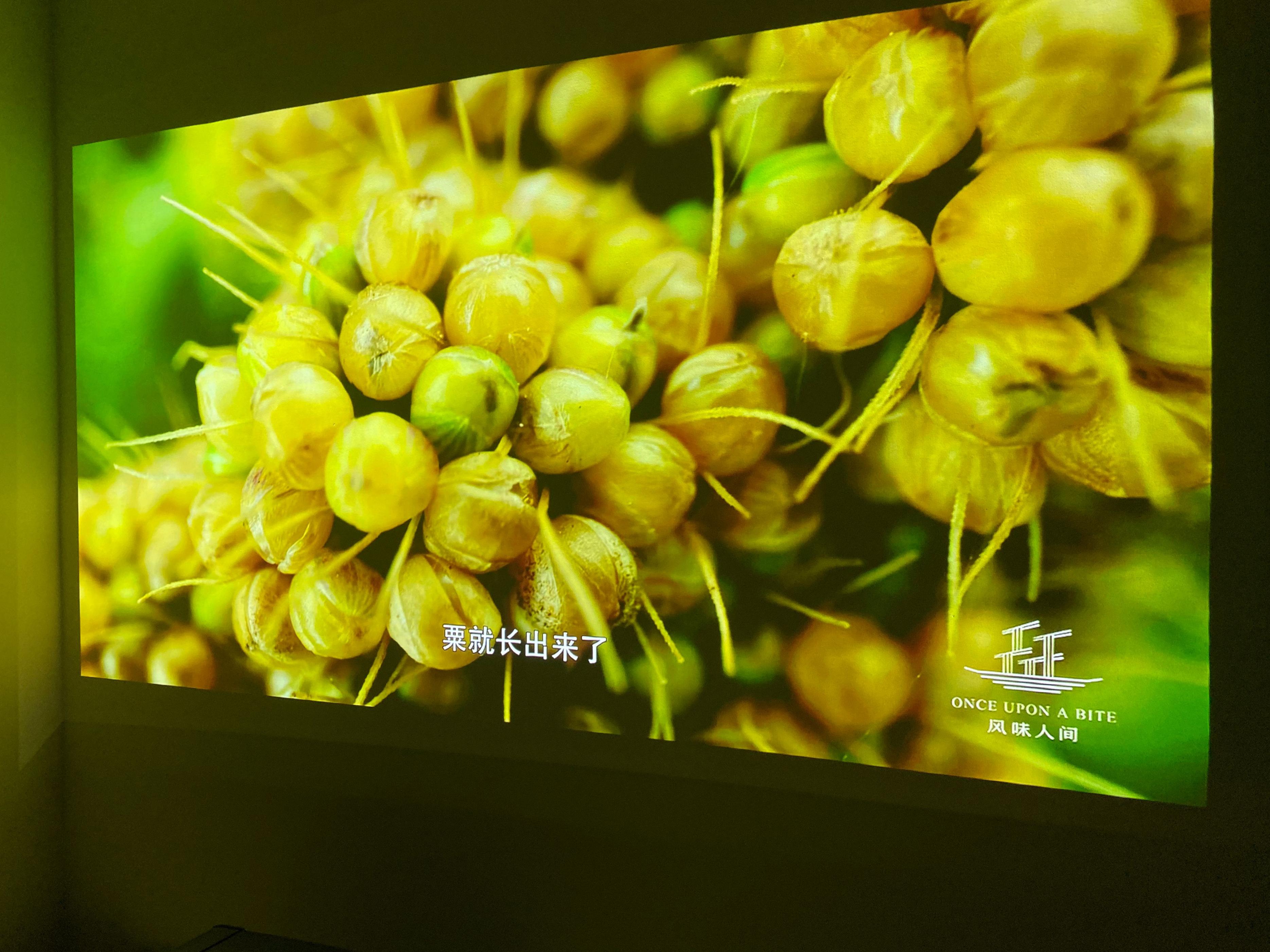 aoct30超短焦投影仪测评,aoct30激光投影怎么样