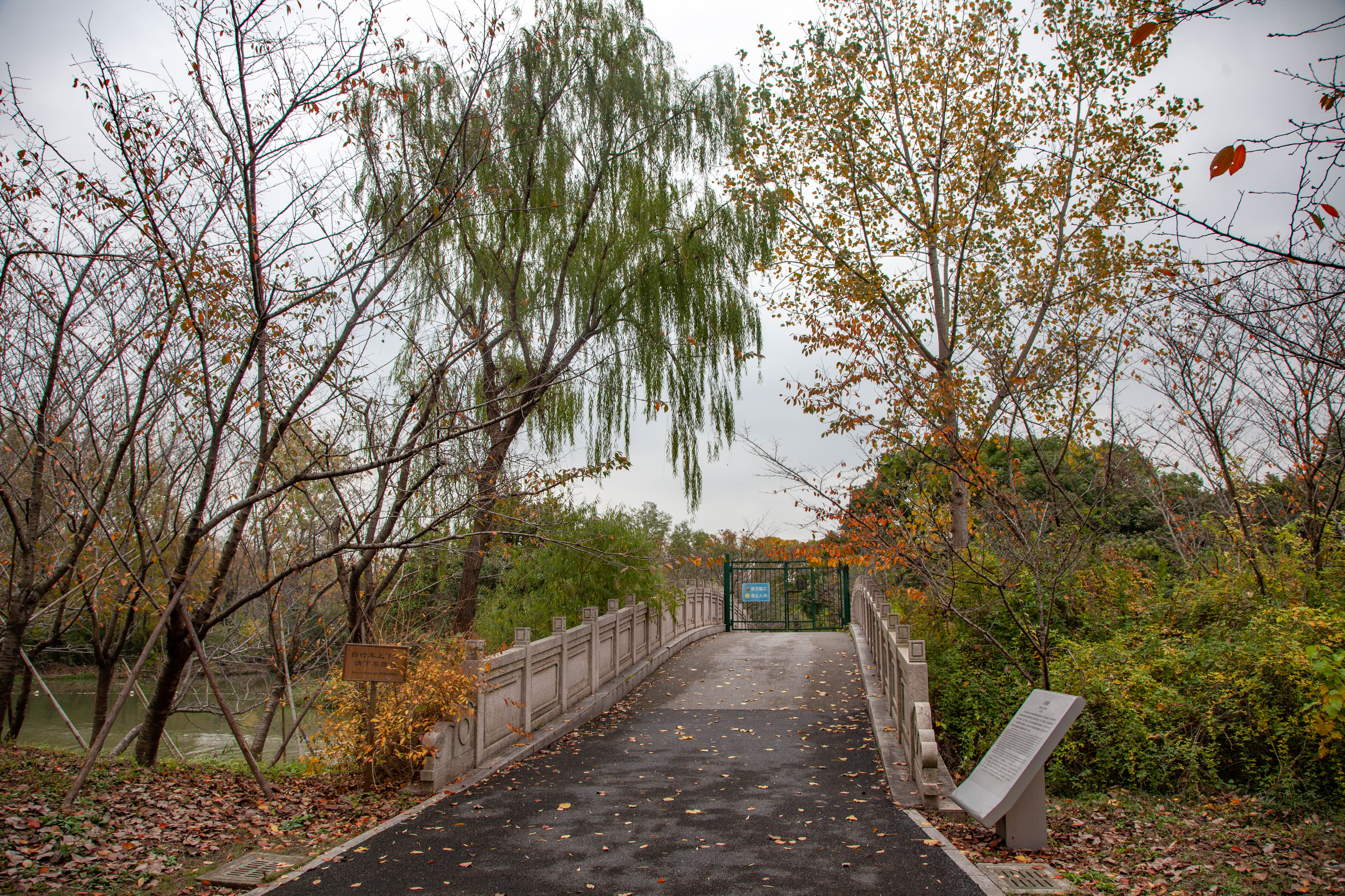 宝山顾村历史,上海宝山顾村老街