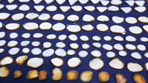 中药炮制技艺非遗传承,中药鹿茸怎么炮制