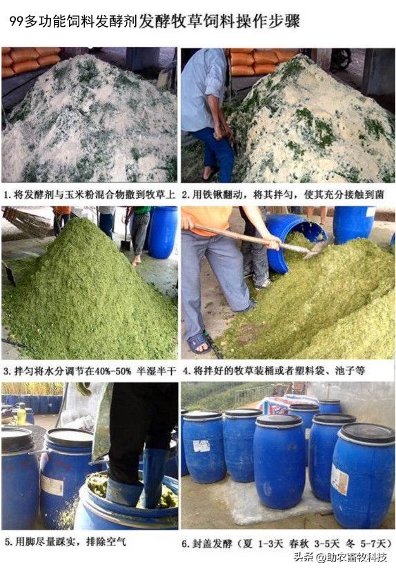 牧草制作发酵教程视频,发酵牧草养猪的正确方法
