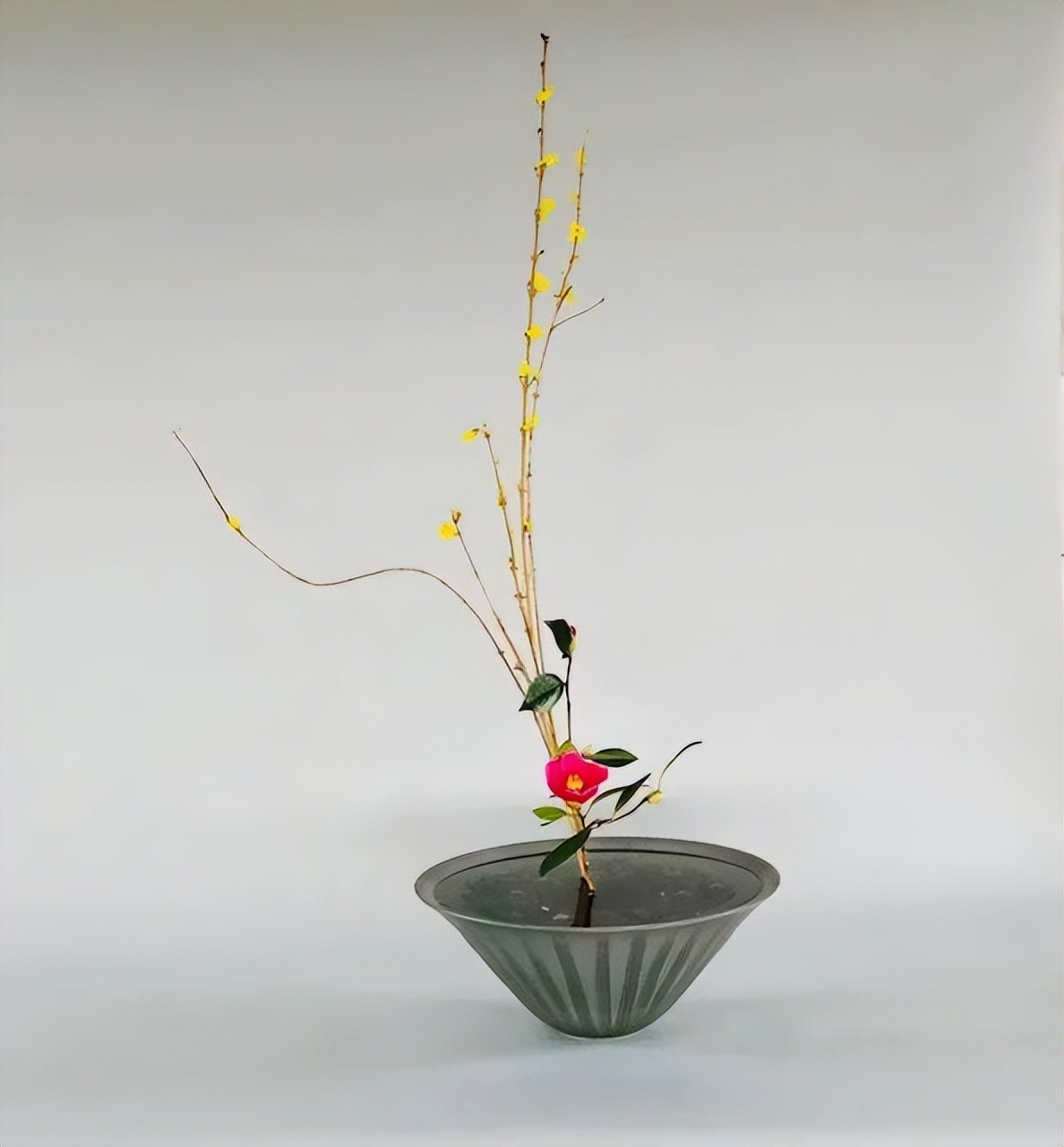 日式插花小原流花道,日式插花的13个基本技巧