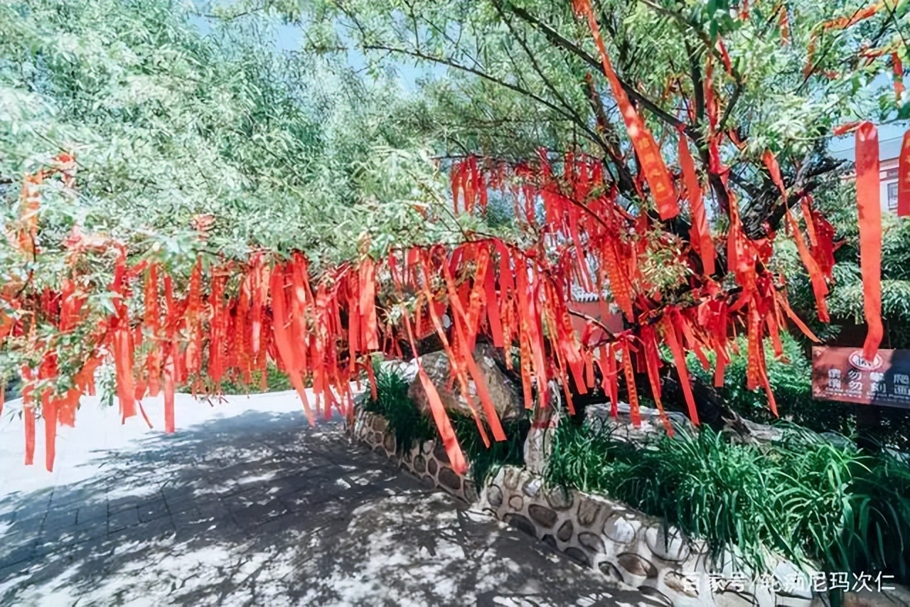 李为何能问鼎最强姓氏,李是不是中国最强的姓氏