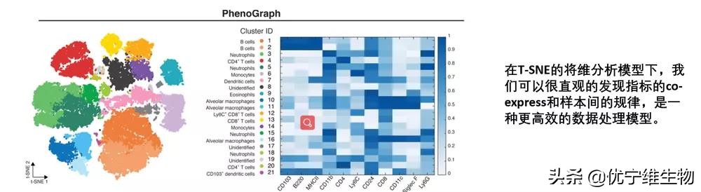 数据分析七种降维方法,t-sne缺点