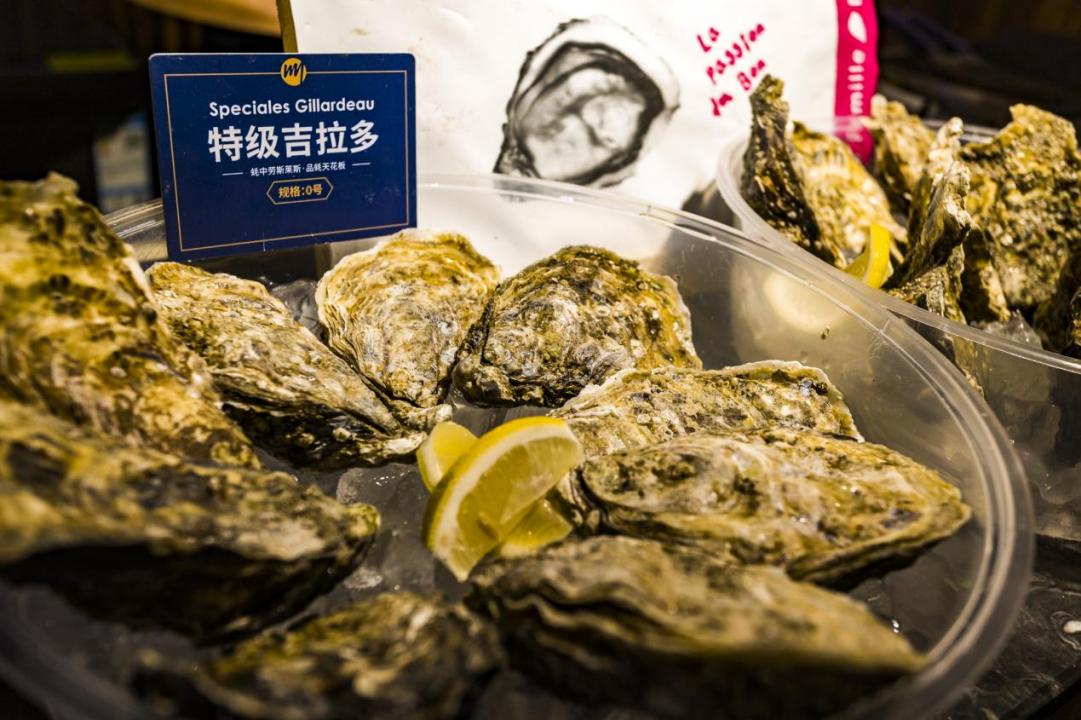 2022歇马夜市如约开市，唤起沈城新活力