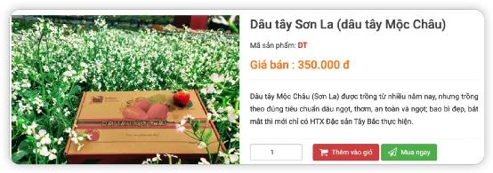 越南生产的草莓,中国草莓出口越南