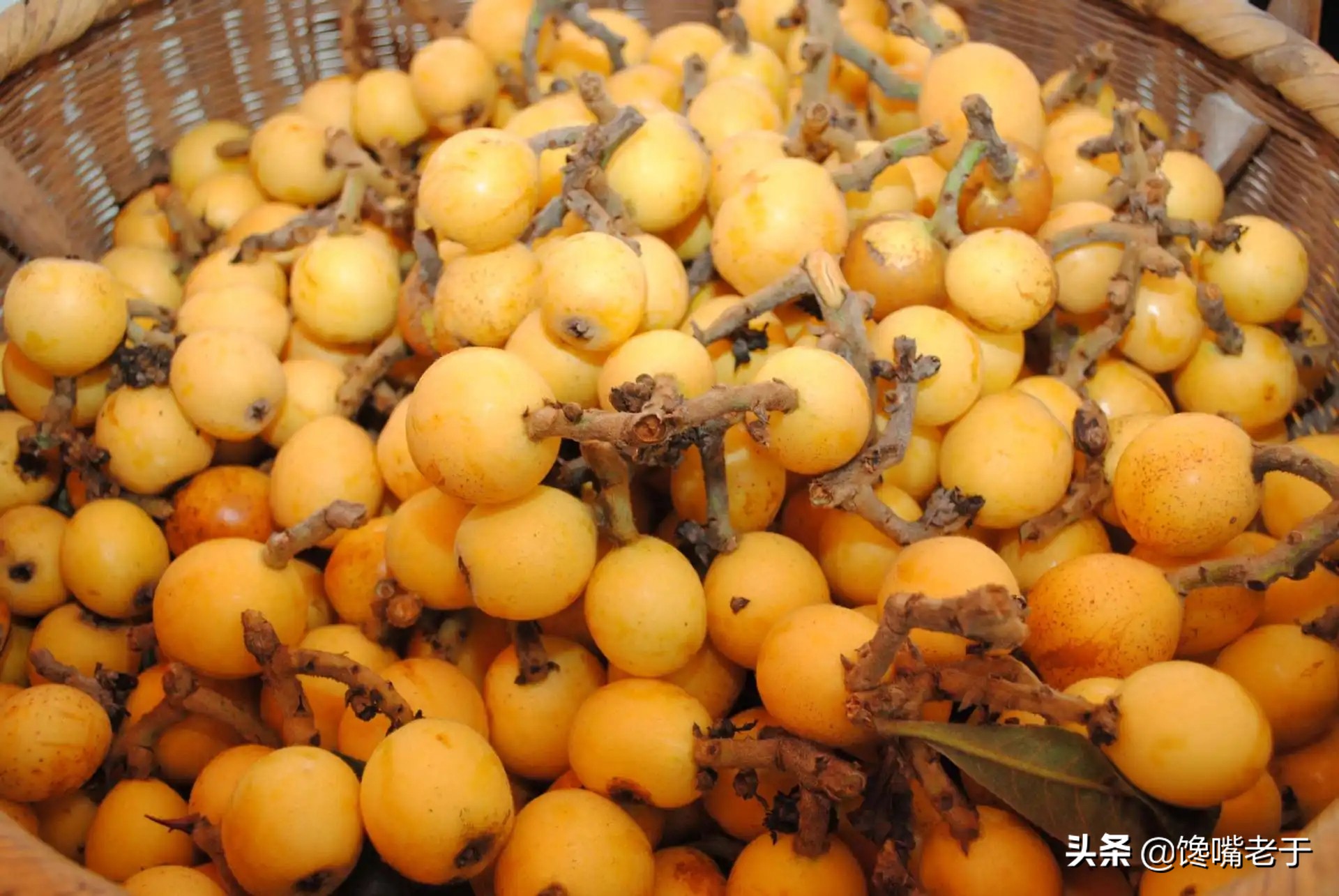 枇杷不是很熟可以做枇杷膏吗,枇杷怎么吃止咳化痰效果最好