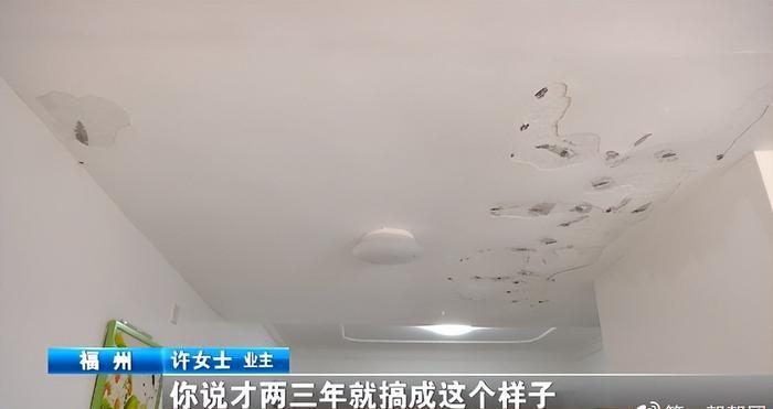 顶楼居民楼顶种榕树,楼顶种榕树后续