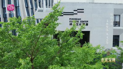 深圳哪里避暑最好玩,深圳避暑最佳旅游地