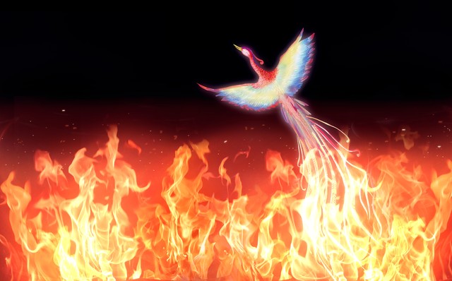 凤凰涅盘浴火重生,涅磐凤凰浴火重生