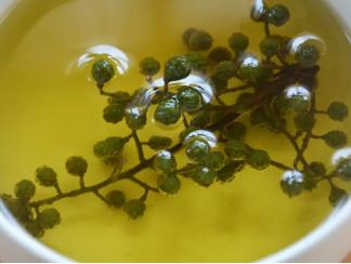 藤椒生长过程图片,藤椒是什么时候进入中国的