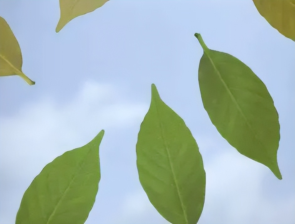 奇奇怪怪又可可爱爱的杂货，都在日本人玩不完的脑洞里