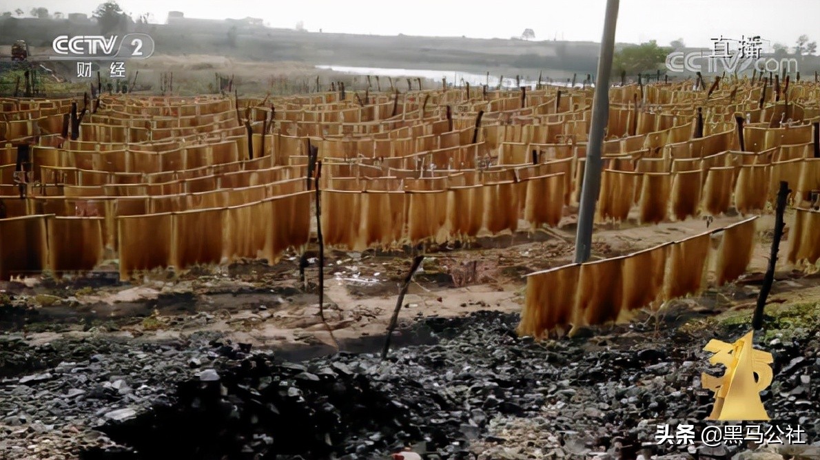 315晚会曝光网红,315晚会曝光网红名单