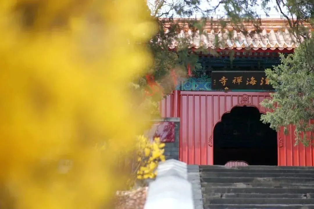 石景山首钢园骑行,春天石景山赏花