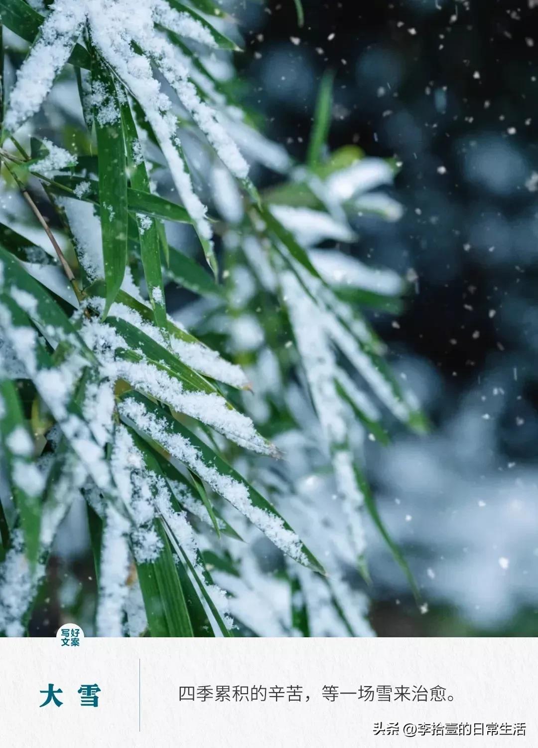 大雪节气的经典接地气文案,大雪节气文案冬雪雪冬小大寒