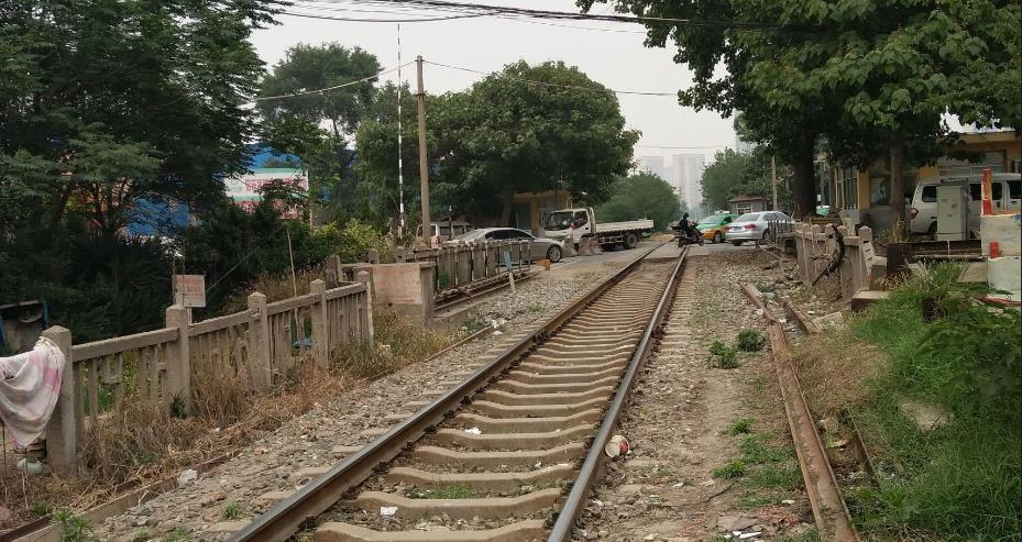 鎯婁汉涓惧姩,鎯婁汉涓惧姩鐭ヤ箮