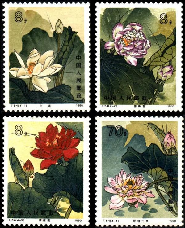 闆嗛偖浠婃棩澶存潯,闆嗛偖澶存潯