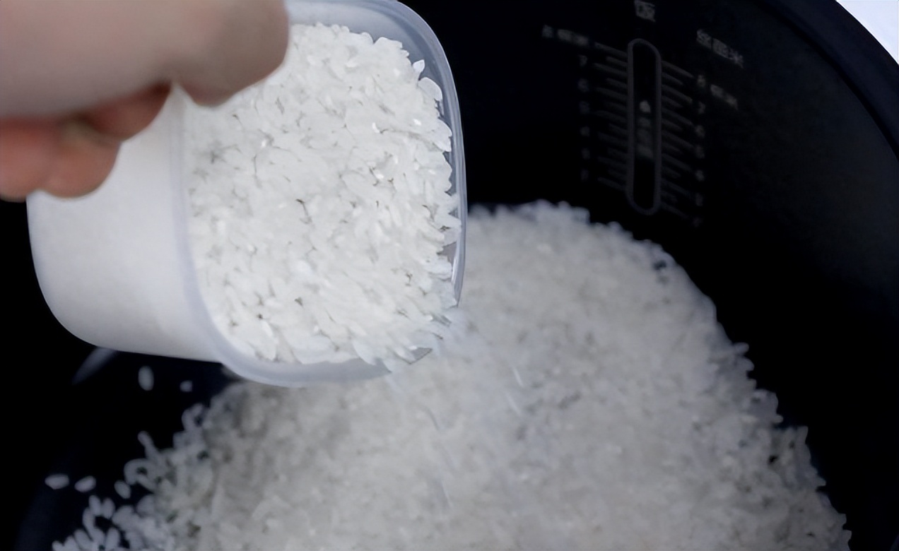 电饭煲贵的和便宜的有什么区别,100的电饭煲和500的电饭煲区别