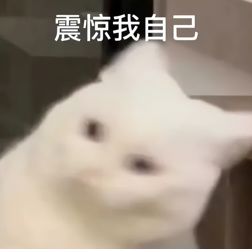 不想买皇家猫粮，但被医生拿捏了