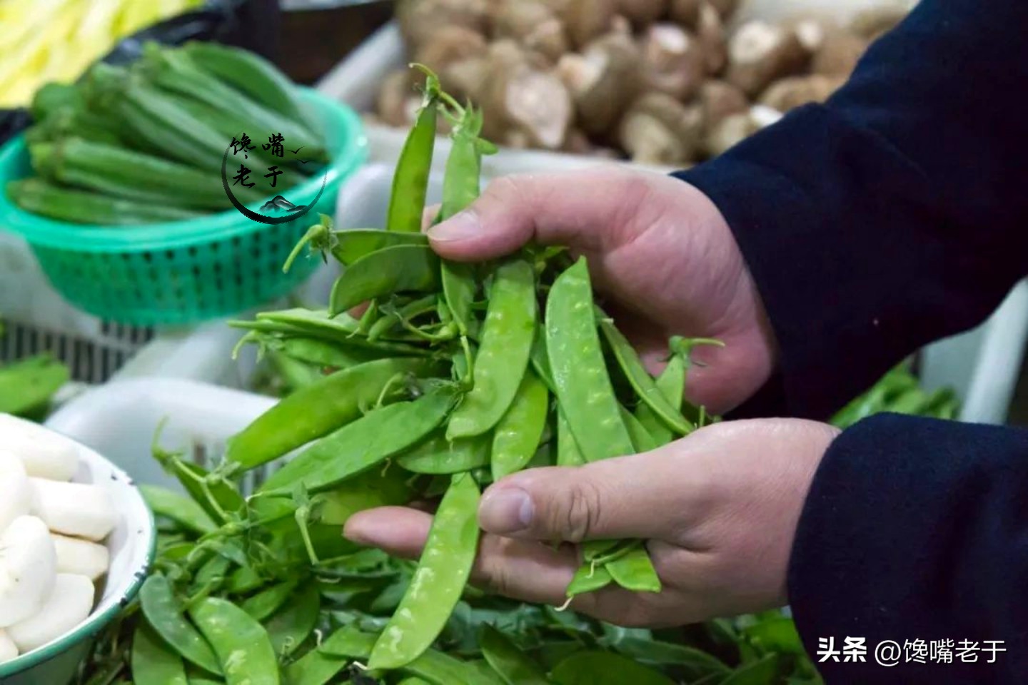 荷兰豆跟豌豆有什么区别,荷兰豆为什么叫荷兰豆呢
