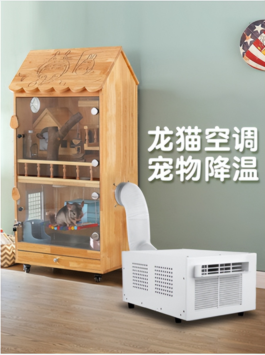 养超可爱的龙猫宝宝,适合新手养的宠物龙猫