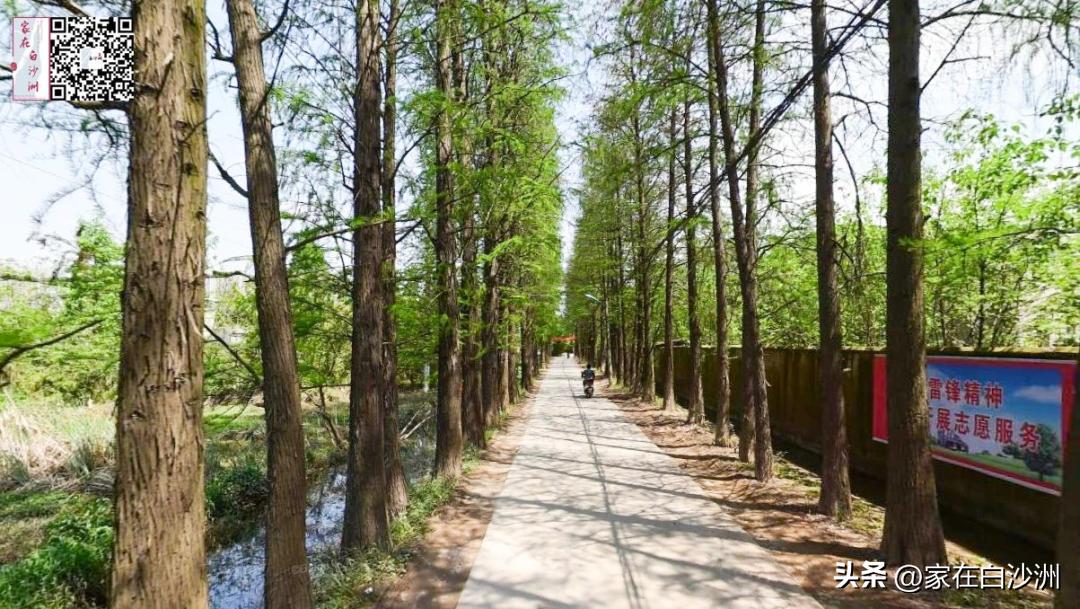 儿童乐园草坪,体育公园儿童足球场