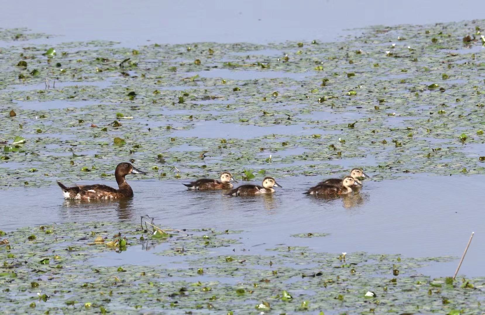 合肥周边3-5天短途自驾游推荐,合肥适合自驾游的地方推荐