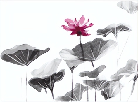 天道人道道德经黄帝内经,道德经天道忌盈人道多少章