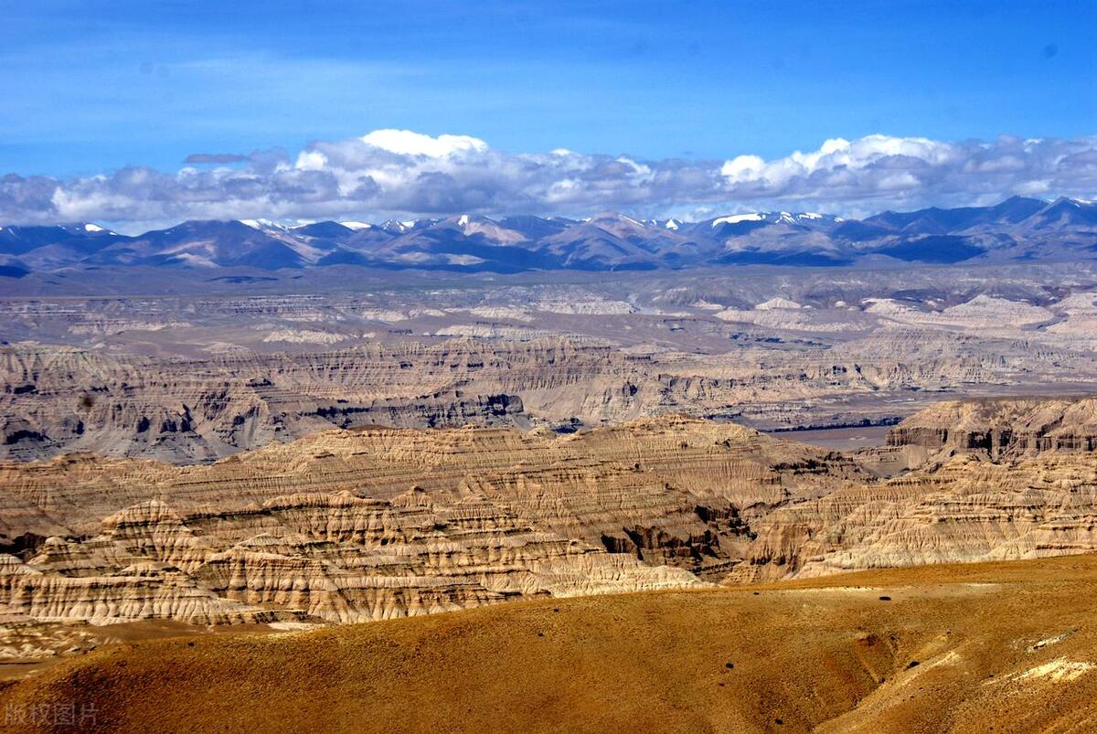 梦未央陈瑞原唱,梦未央原唱完整版